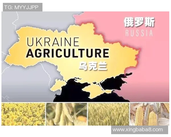 足球明星在全球文化中的独特地位与影响力探讨 足球明星在全球文化中的独特地位与影响力探讨