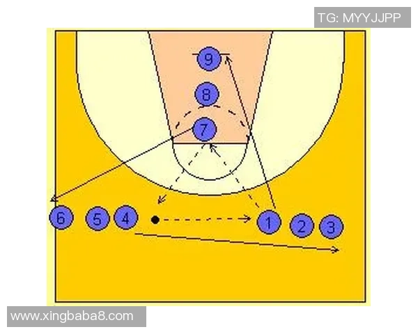 深入分析上海篮球队独特的防守策略与战术执行技巧