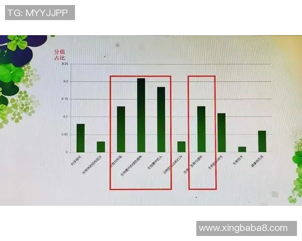 赛后分析：深圳网球队与南京网球队在比赛中的灵活性对比探讨
