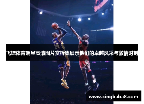飞镖体育明星高清图片赏析集展示他们的卓越风采与激情时刻