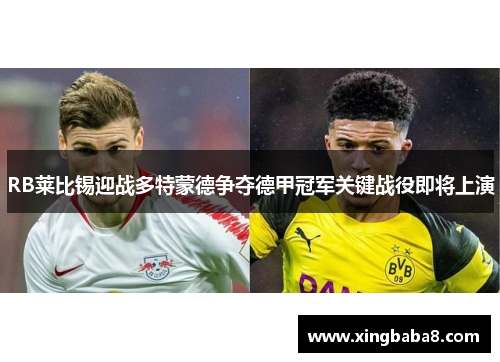RB莱比锡迎战多特蒙德争夺德甲冠军关键战役即将上演