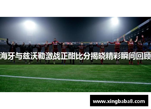 海牙与兹沃勒激战正酣比分揭晓精彩瞬间回顾